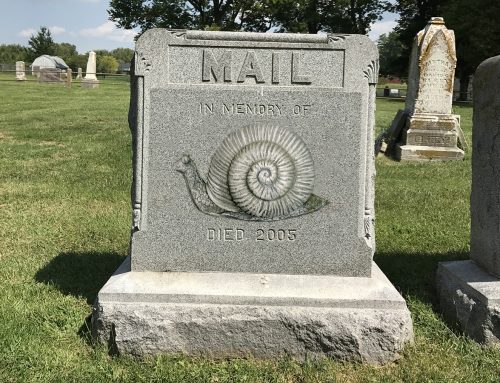 Snail Mail, slow and steady